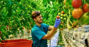 Tốt nghiệp ngành nông nghiệp tại Úc bạn sẽ không phải lo thất nghiệp